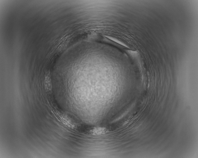 X0000052570609200507221504