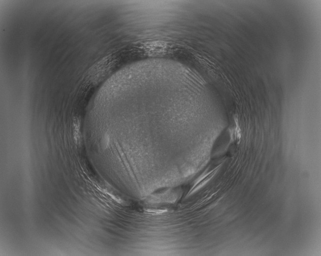 X0000052570610200507221504