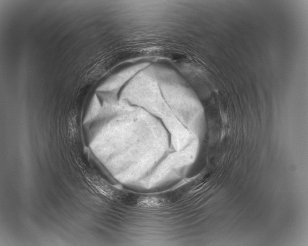 X0000052570611200507221504