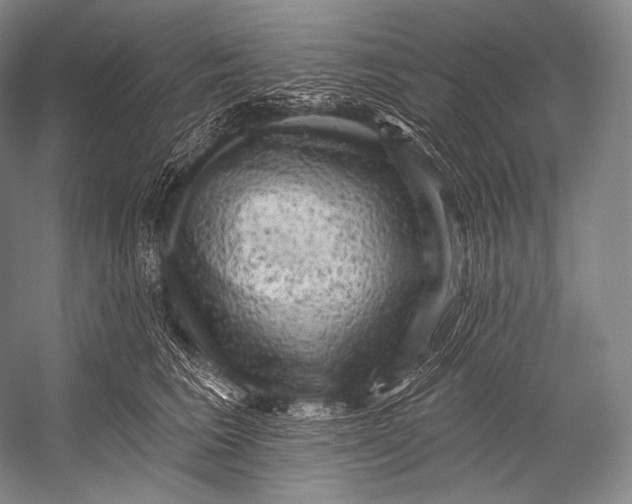 X0000052570613200507221504