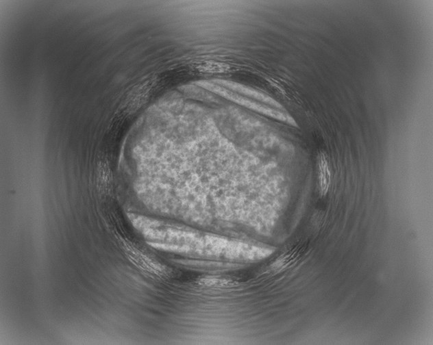 X0000052570614200507221504