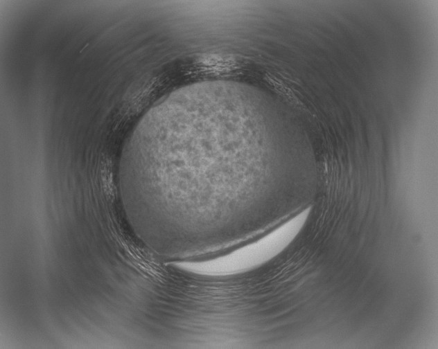 X0000052570615200507221504