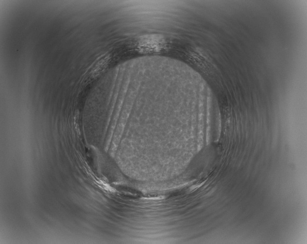 X0000052570616200507221504