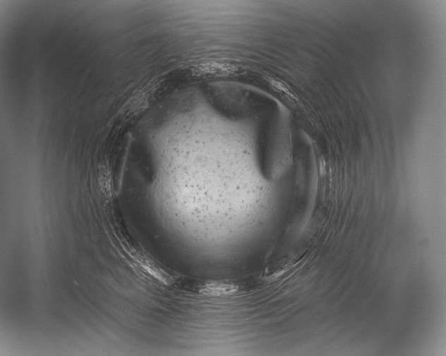 X0000052570617200507221504