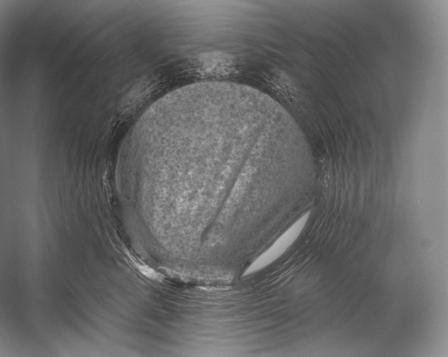 X0000052570619200507221504