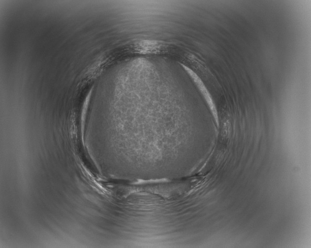 X0000052570620200507221504