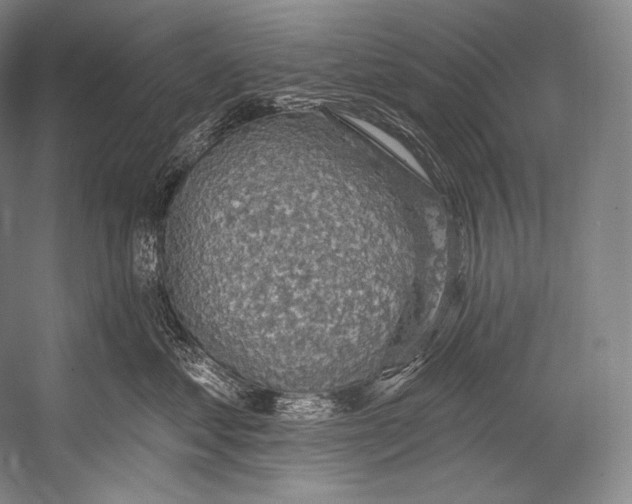 X0000052570621200507221503