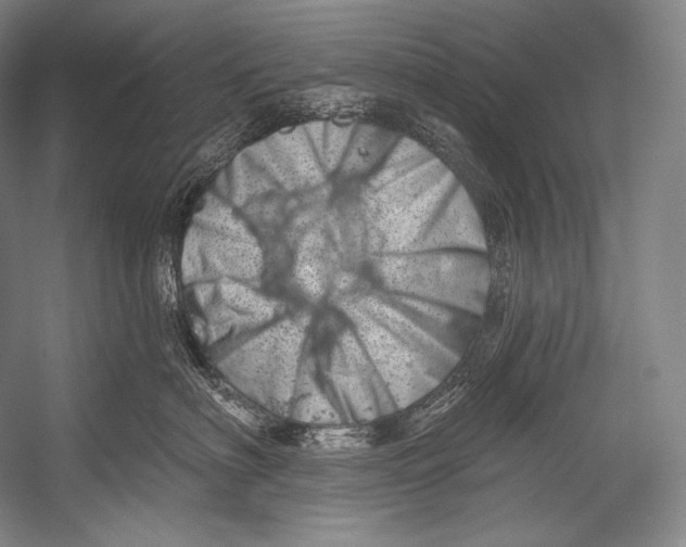 X0000052570622200507221503