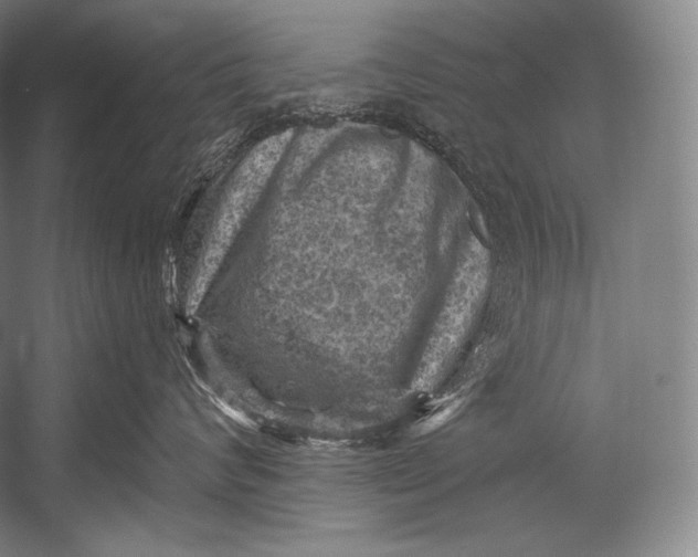 X0000052570624200507221503