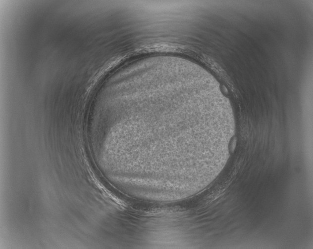 X0000052570625200507221503