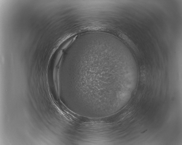 X0000052570626200507221503