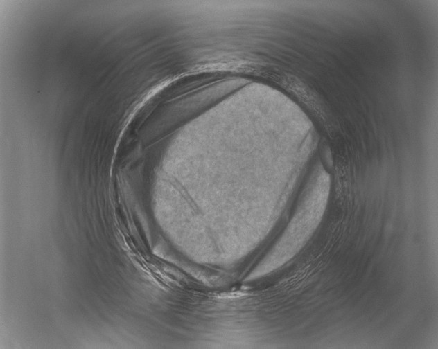 X0000052570628200507221503