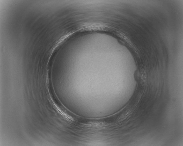 X0000052570629200507221503