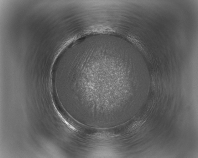 X0000052570630200507221503