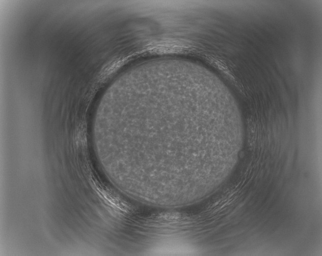 X0000052570631200507221503