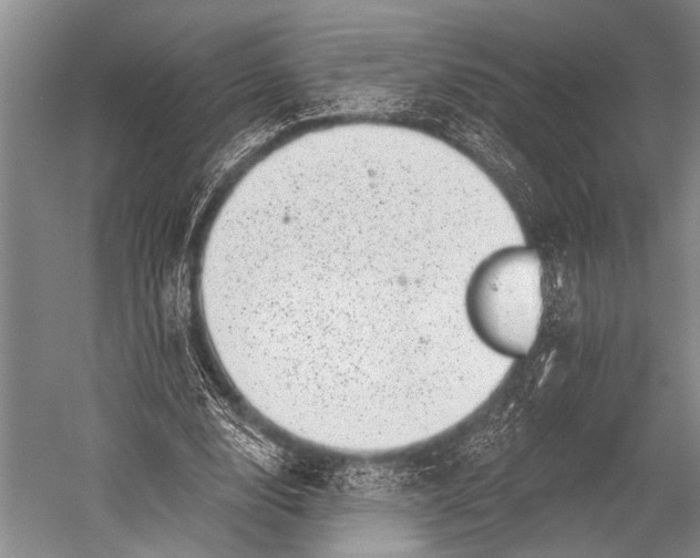 X0000052570632200507221503