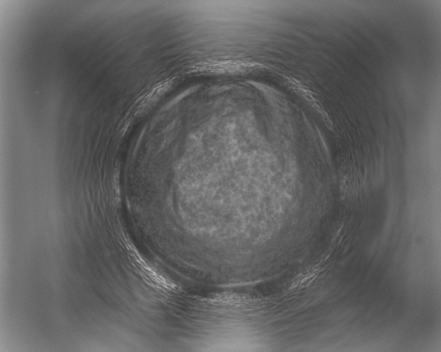 X0000052570633200507221503