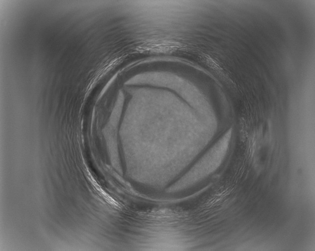 X0000052570634200507221503