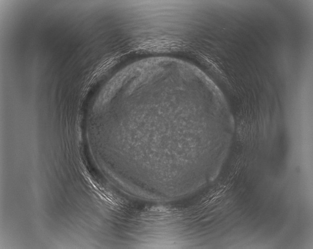 X0000052570635200507221503