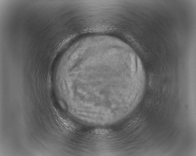 X0000052570636200507221503