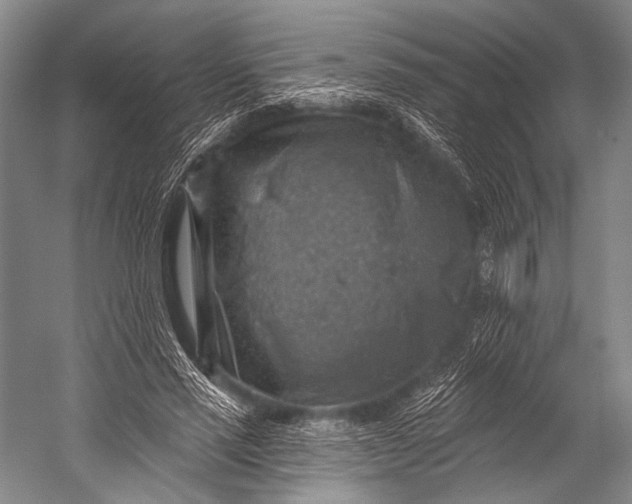 X0000052570637200507221503