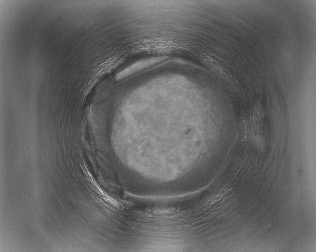 X0000052570638200507221503