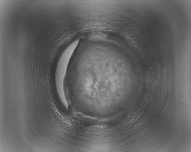 X0000052570639200507221503