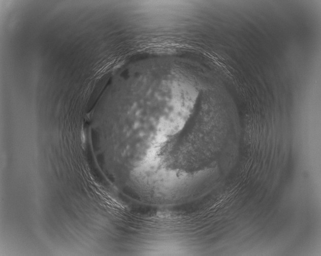 X0000052570641200507221503