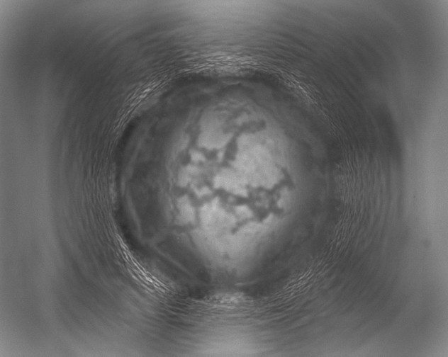 X0000052570642200507221503