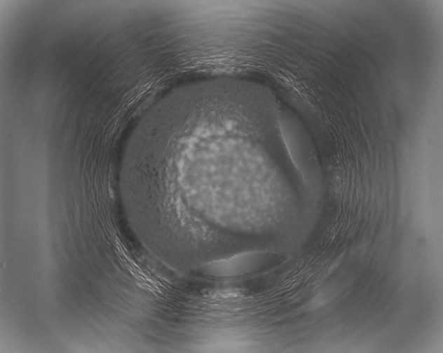 X0000052570643200507221503