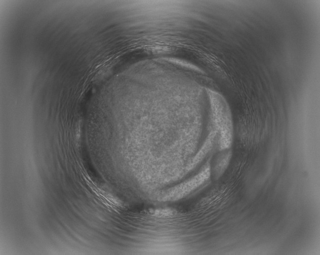 X0000052570645200507221503