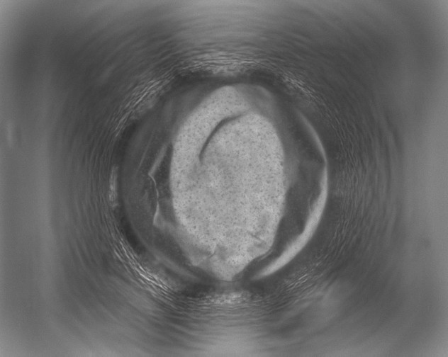 X0000052570646200507221503