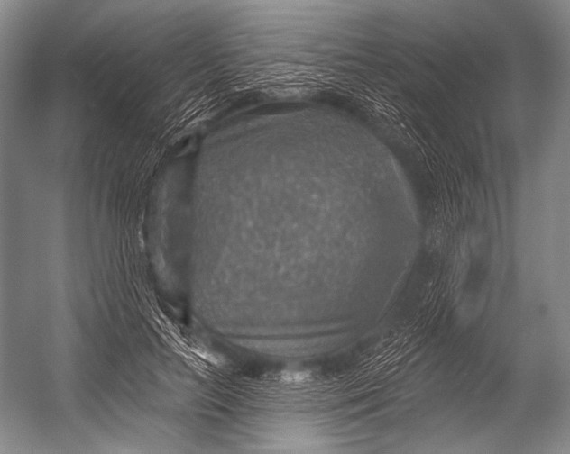 X0000052570647200507221503