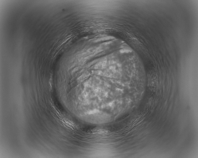 X0000052570648200507221503