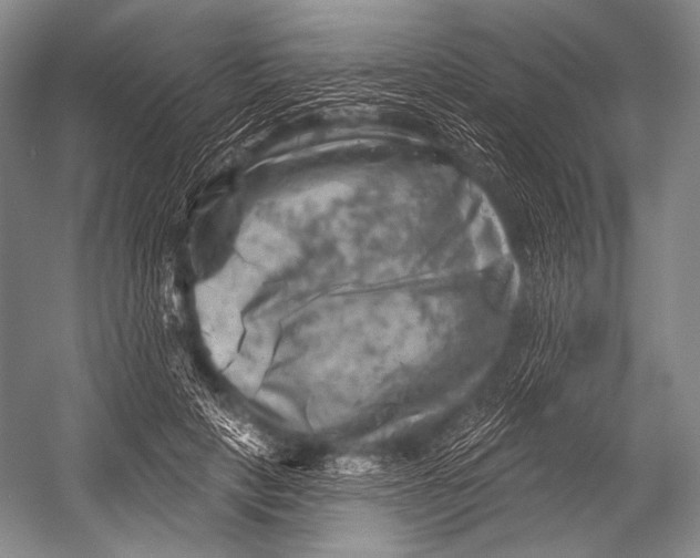 X0000052570649200507221503