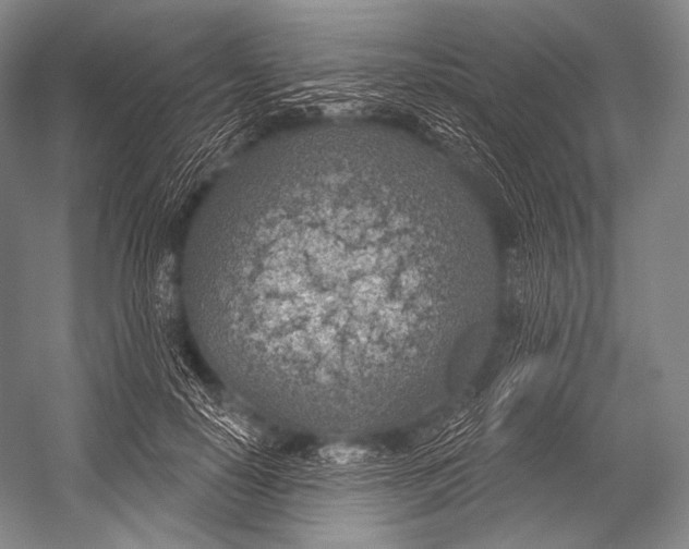 X0000052570650200507221503