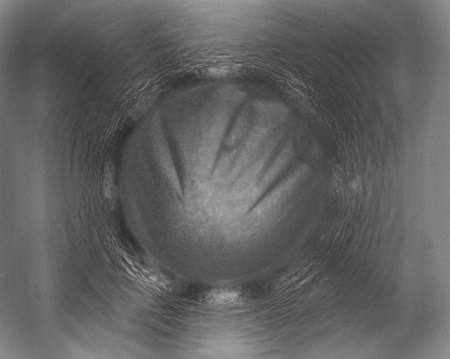 X0000052570651200507221503