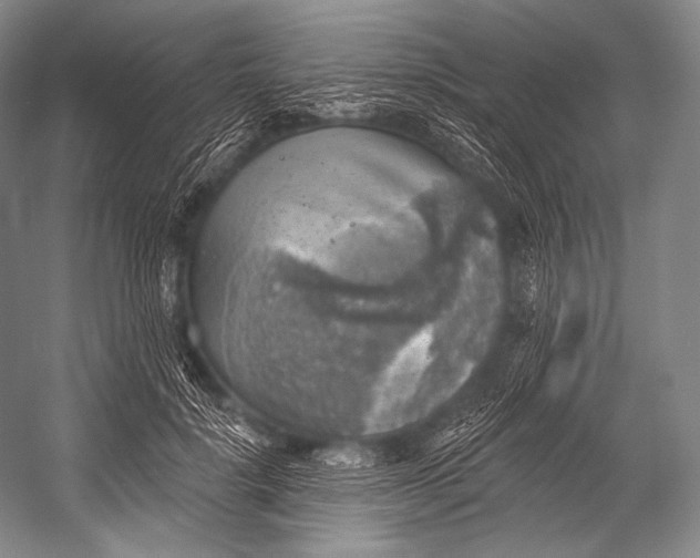 X0000052570652200507221503