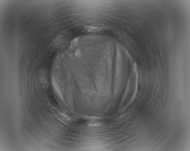 X0000052570653200507221503