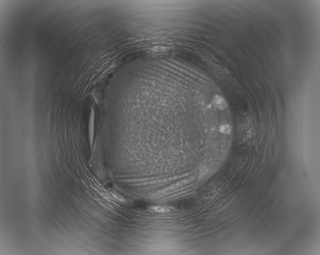 X0000052570654200507221503