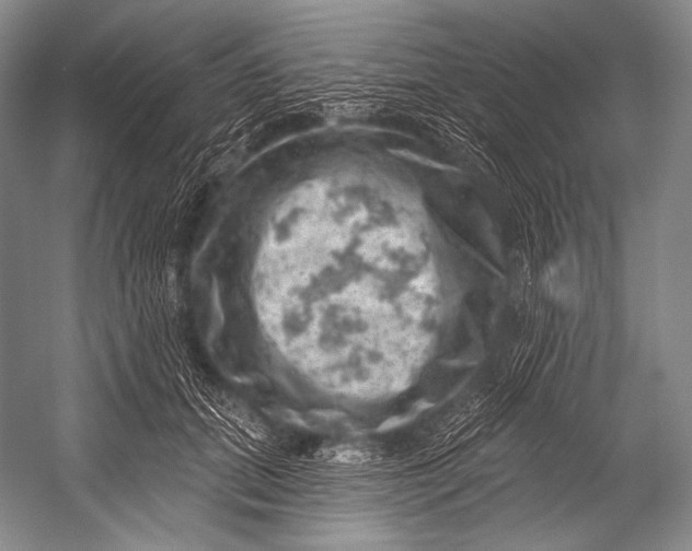 X0000052570655200507221503