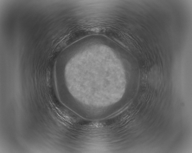 X0000052570656200507221503