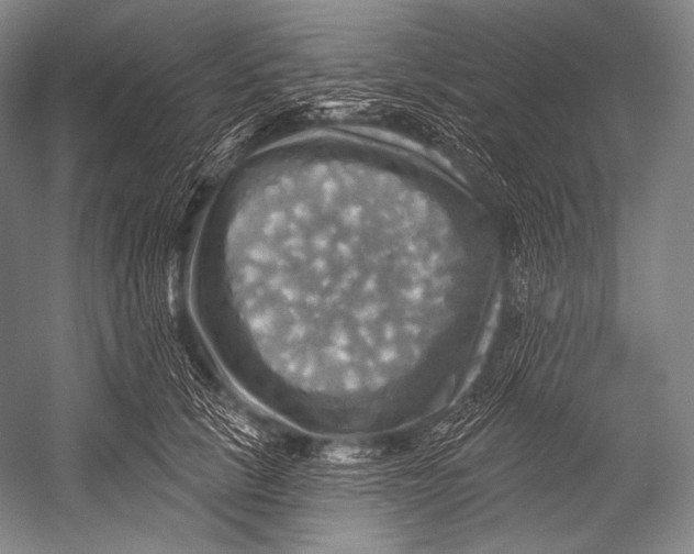 X0000052570657200507221503