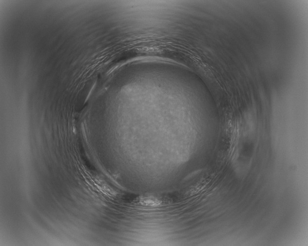 X0000052570658200507221503