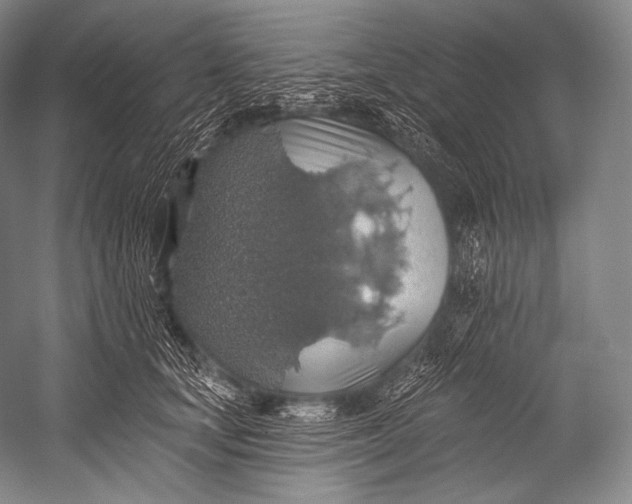 X0000052570659200507221503