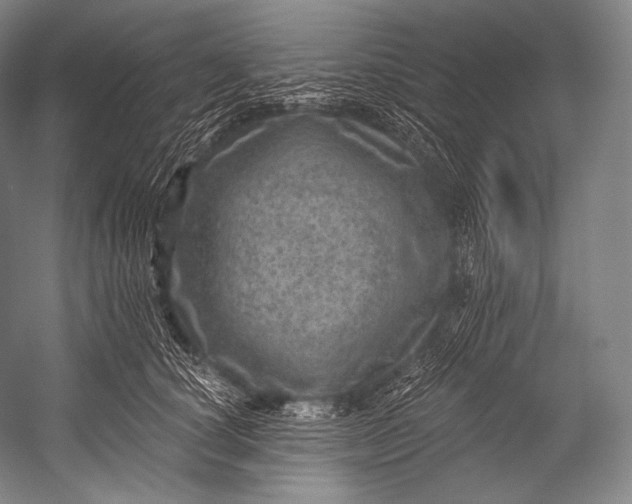 X0000052570660200507221503