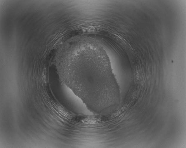 X0000052570661200507221503