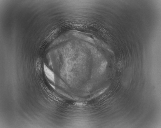 X0000052570662200507221503