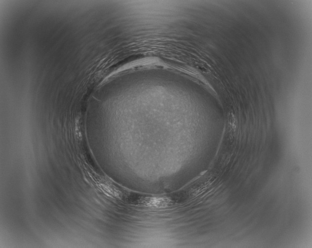 X0000052570663200507221503