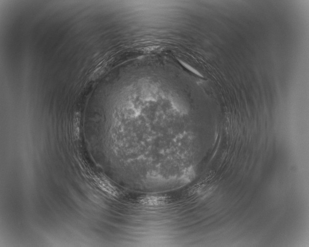 X0000052570664200507221503